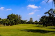 The Pine Golf Lodge - Fairway
